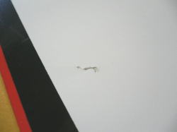 �G�|�L�V �����C�N �q���\�� 3